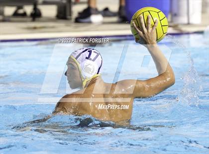 Thumbnail 1 in O'Connor @ Sotomayor photogallery.