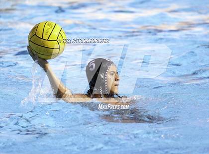 Thumbnail 3 in O'Connor @ Sotomayor photogallery.