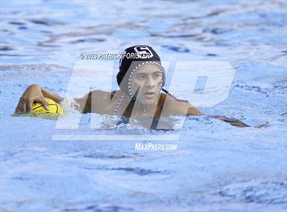Thumbnail 3 in O'Connor @ Sotomayor photogallery.