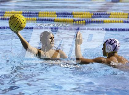 Thumbnail 1 in O'Connor @ Sotomayor photogallery.