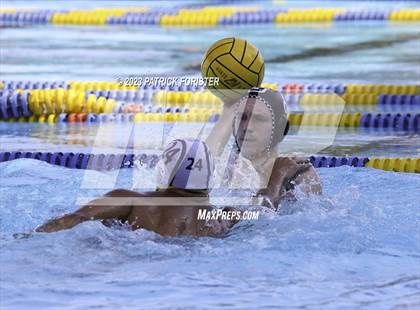 Thumbnail 2 in O'Connor @ Sotomayor photogallery.