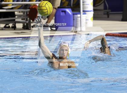 Thumbnail 1 in O'Connor @ Sotomayor photogallery.
