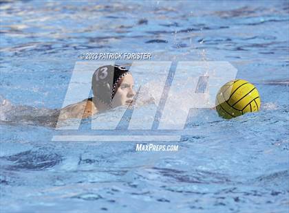 Thumbnail 1 in O'Connor @ Sotomayor photogallery.