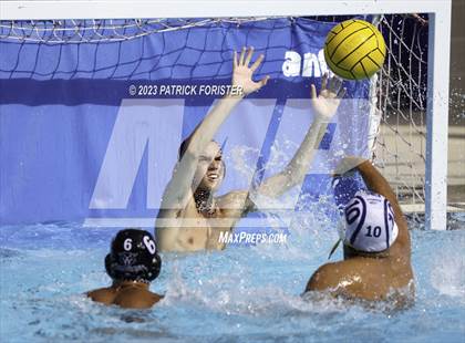 Thumbnail 3 in O'Connor @ Sotomayor photogallery.