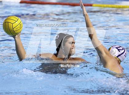 Thumbnail 3 in O'Connor @ Sotomayor photogallery.