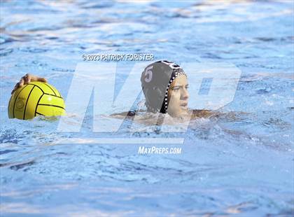 Thumbnail 2 in O'Connor @ Sotomayor photogallery.