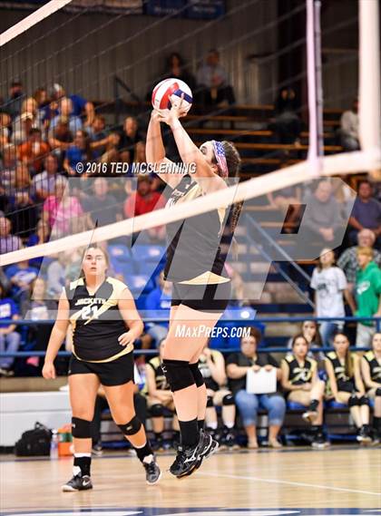 Thumbnail 1 in Paris vs Clinton  (AHSAA 3A  2nd Round Playoff) photogallery.