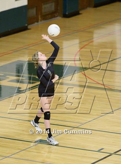 Thumbnail 3 in Prospect @ Elk Grove photogallery.