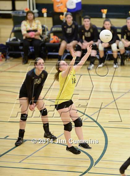 Thumbnail 3 in Prospect @ Elk Grove photogallery.