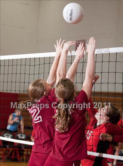 Thumbnail 1 in Bearden @ Maryville photogallery.
