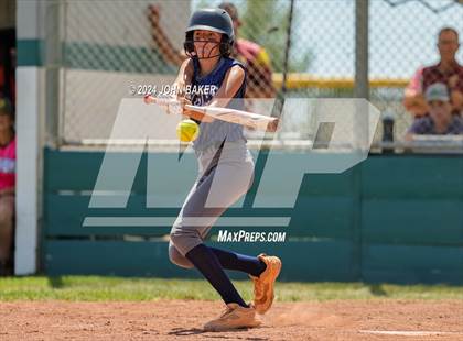 Thumbnail 2 in Boulder City vs. Pahrump Valley (NIAA 3A State Loser Semi) photogallery.