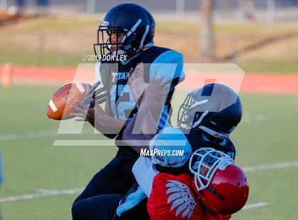 Thumbnail 1 in Hercules @ Vallejo photogallery.