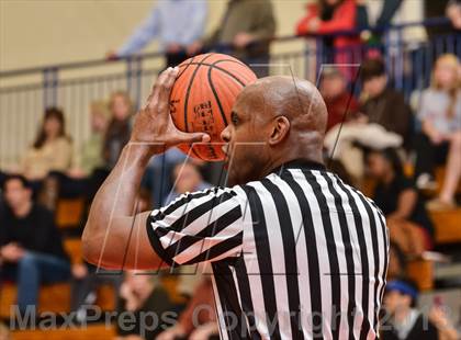 Thumbnail 1 in Lassiter @ Milton photogallery.