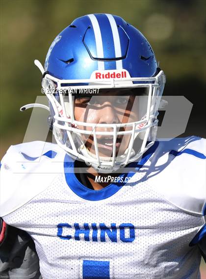 Thumbnail 1 in Chino @ El Dorado photogallery.