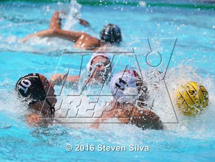 Thumbnail 2 in La Serna @ Westview photogallery.