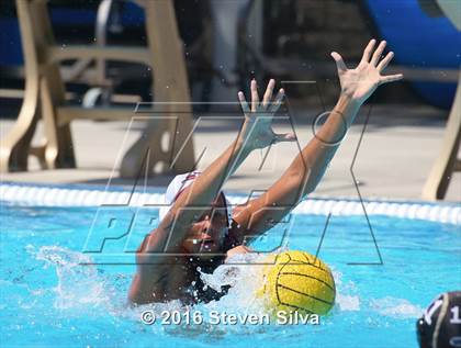Thumbnail 3 in La Serna @ Westview photogallery.