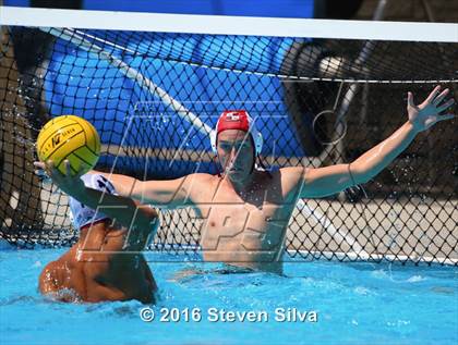 Thumbnail 3 in La Serna @ Westview photogallery.