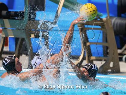 Thumbnail 3 in La Serna @ Westview photogallery.