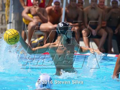 Thumbnail 3 in La Serna @ Westview photogallery.