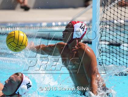 Thumbnail 3 in La Serna @ Westview photogallery.