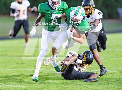 Thumbnail 3 in Chapel Hill @ Weddington photogallery.
