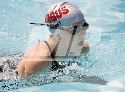 Thumbnail 1 in Wolves Invitational photogallery.