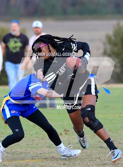 Thumbnail 1 in Havelock vs West Craven photogallery.