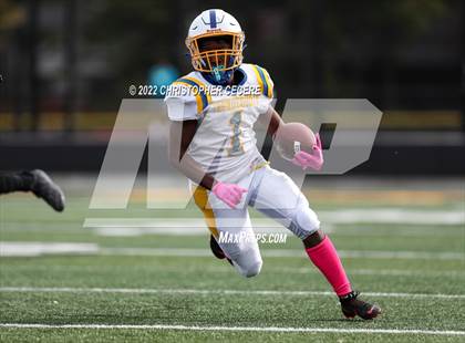 Thumbnail 2 in Irondequoit @ Greece Athena photogallery.