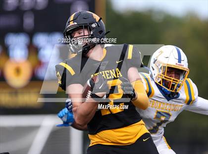 Thumbnail 1 in Irondequoit @ Greece Athena photogallery.