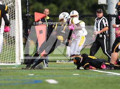 Thumbnail 2 in Irondequoit @ Greece Athena photogallery.