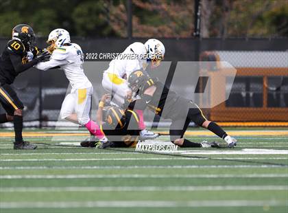Thumbnail 2 in Irondequoit @ Greece Athena photogallery.