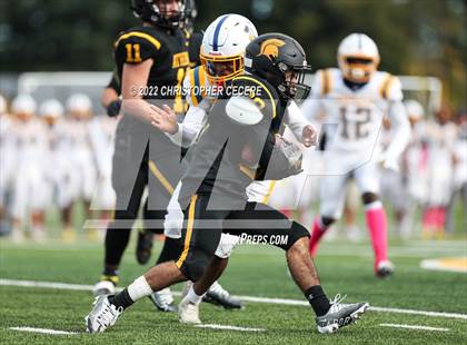 Thumbnail 2 in Irondequoit @ Greece Athena photogallery.