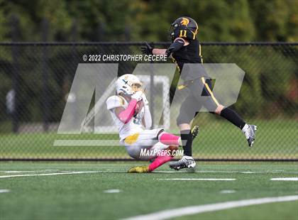 Thumbnail 3 in Irondequoit @ Greece Athena photogallery.