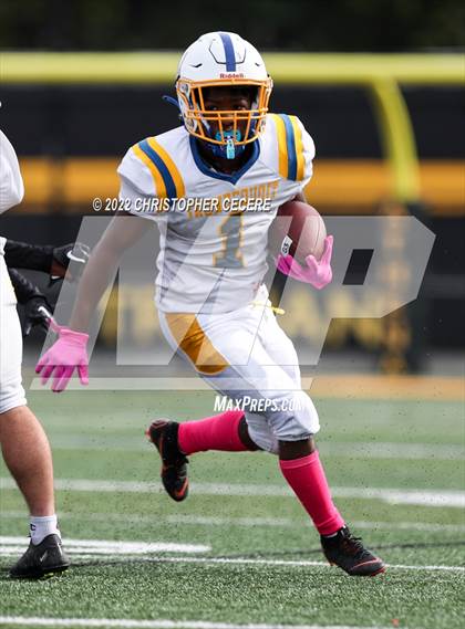 Thumbnail 2 in Irondequoit @ Greece Athena photogallery.