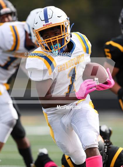 Thumbnail 2 in Irondequoit @ Greece Athena photogallery.