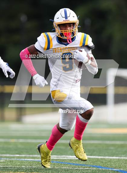 Thumbnail 2 in Irondequoit @ Greece Athena photogallery.