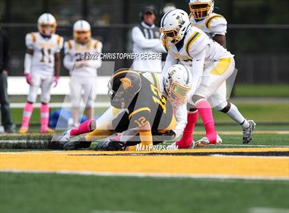 Thumbnail 2 in Irondequoit @ Greece Athena photogallery.