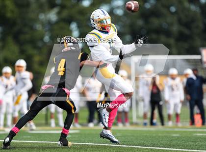 Thumbnail 3 in Irondequoit @ Greece Athena photogallery.