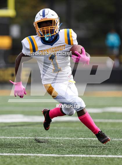 Thumbnail 1 in Irondequoit @ Greece Athena photogallery.
