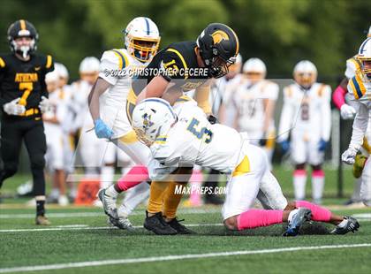 Thumbnail 1 in Irondequoit @ Greece Athena photogallery.