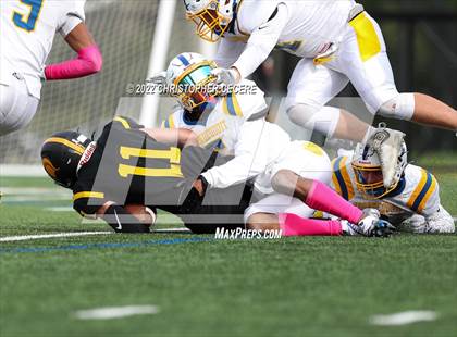 Thumbnail 2 in Irondequoit @ Greece Athena photogallery.