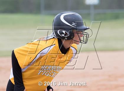 Thumbnail 2 in Hernando vs. Bartlett photogallery.