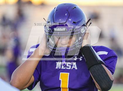 Thumbnail 1 in Higley @ Mesa photogallery.