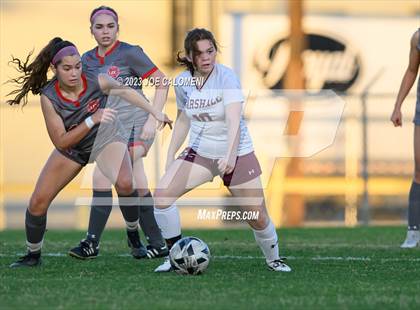 Thumbnail 2 in Marshall vs Lee photogallery.