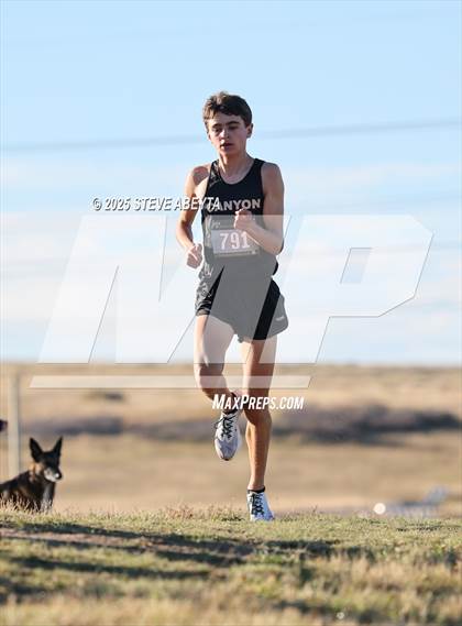 Thumbnail 2 in CHSAA 5A Continental League Championships photogallery.