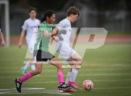 Thumbnail 3 in Olympia @ Tumwater photogallery.