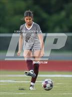 Photo from the gallery "Franklin @ Oakland"