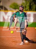 Photo from the gallery "Basha @ Shadow Ridge"