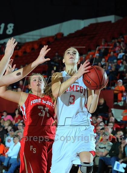 Thumbnail 2 in Fort Scott vs. Wamego (KSHSAA State 4A Semifinal) photogallery.