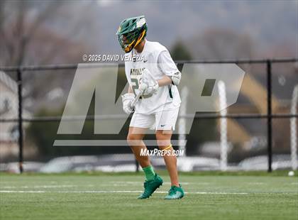 Thumbnail 1 in Morris Knolls @ Scotch Plains-Fanwood photogallery.